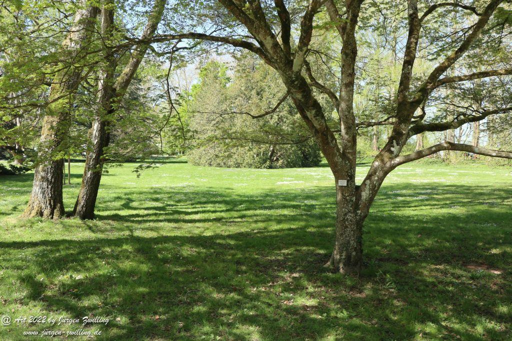 Insel Mainau - Bodensee - Baden-Württemberg