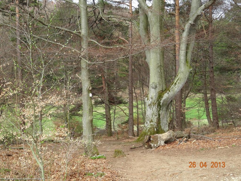 Philosophische Bildwanderung Traufgang Zollernburg-Panorama