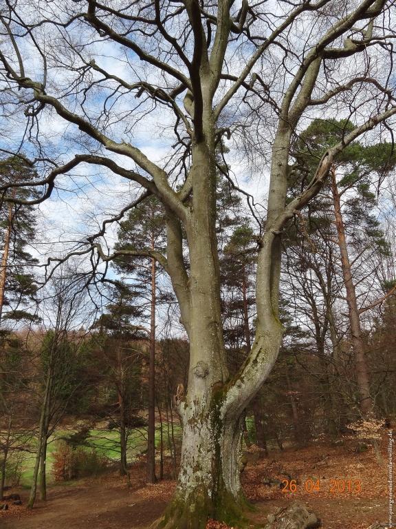 Philosophische Bildwanderung Traufgang Zollernburg-Panorama