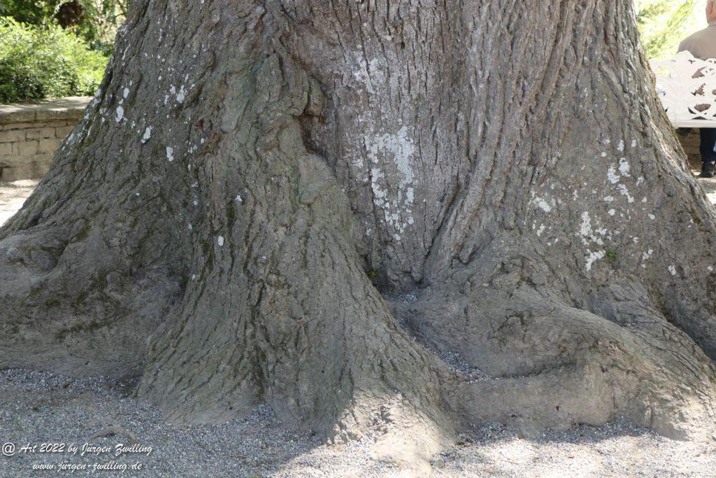 Insel Mainau - Bodensee - Baden-Württemberg