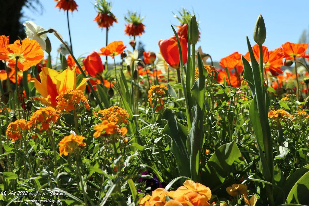 Insel Mainau - Bodensee - Baden-Württemberg
