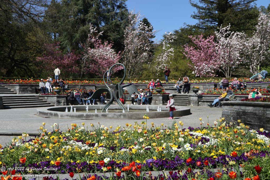 Insel Mainau - Bodensee - Baden-Württemberg