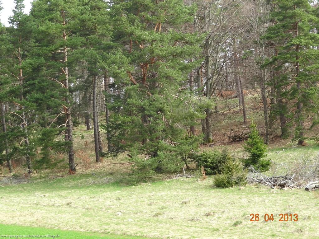 Philosophische Bildwanderung Traufgang Zollernburg-Panorama