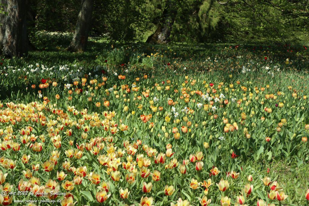 Insel Mainau - Bodensee - Baden-Württemberg