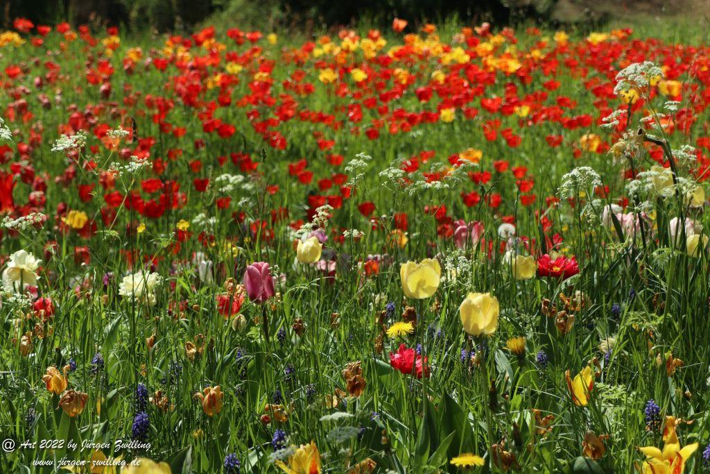Insel Mainau - Bodensee - Baden-Württemberg