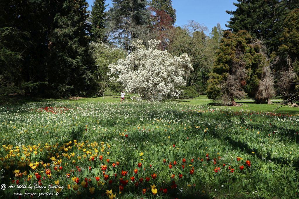 Insel Mainau - Bodensee - Baden-Württemberg