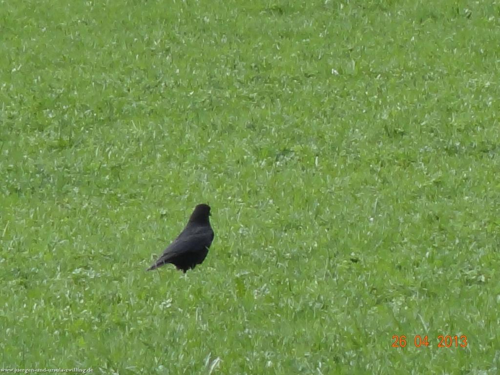 Philosophische Bildwanderung Traufgang Zollernburg-Panorama