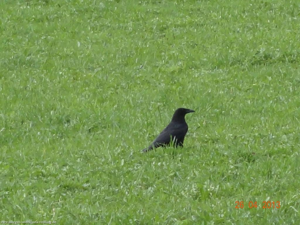 Philosophische Bildwanderung Traufgang Zollernburg-Panorama