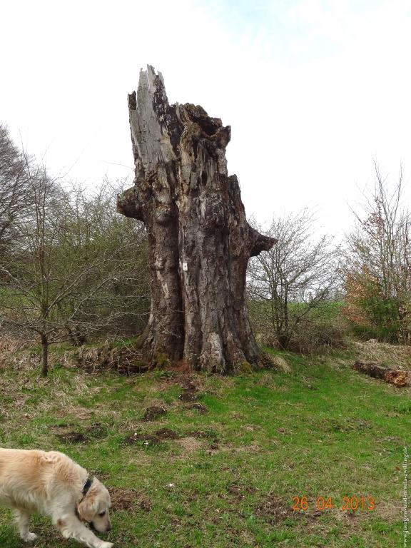 Philosophische Bildwanderung Traufgang Zollernburg-Panorama