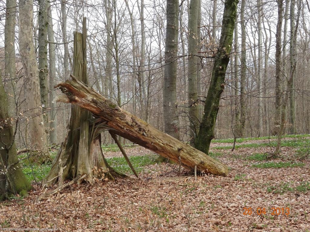 Philosophische Bildwanderung Traufgang Zollernburg-Panorama