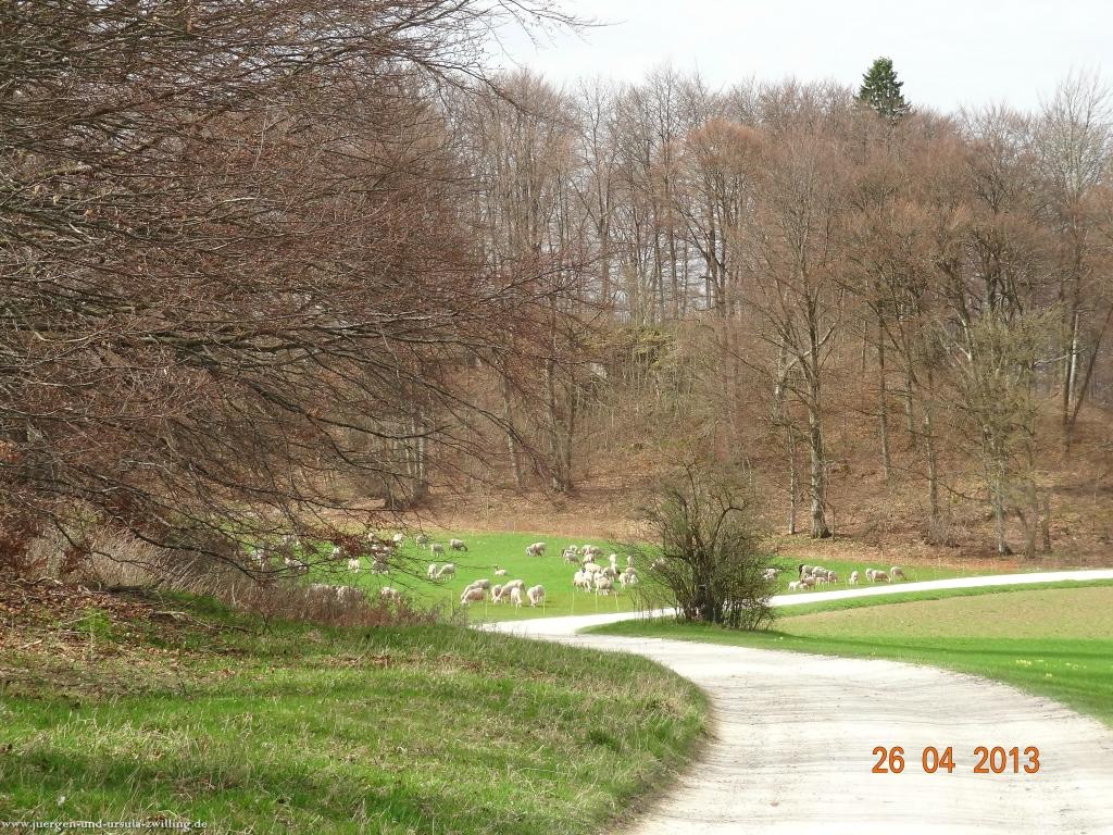 Philosophische Bildwanderung Traufgang Zollernburg-Panorama