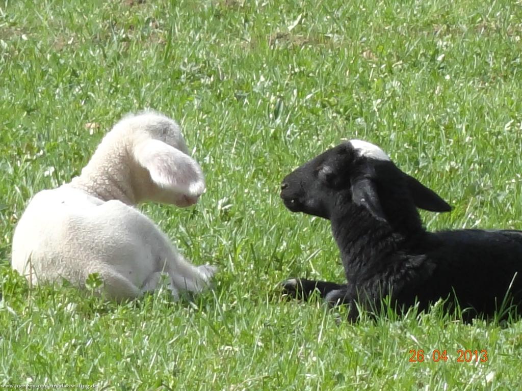 Philosophische Bildwanderung Traufgang Zollernburg-Panorama