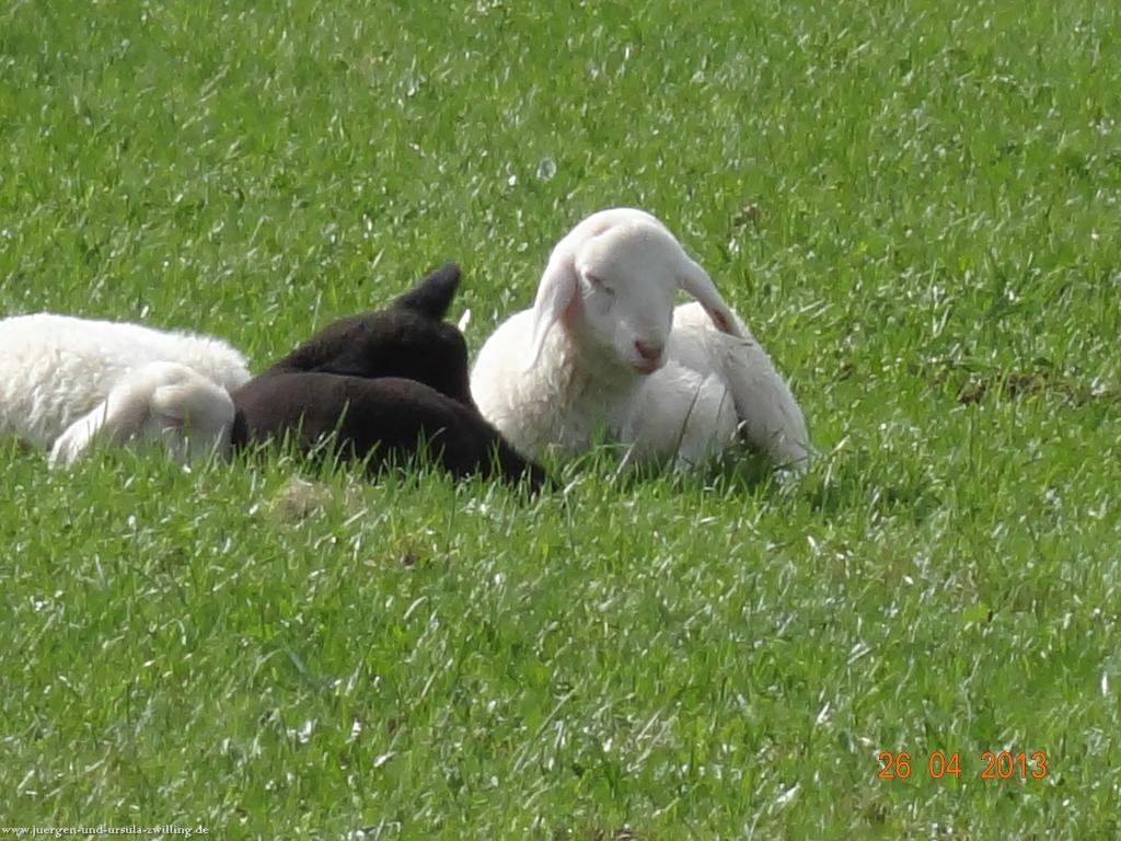 Philosophische Bildwanderung Traufgang Zollernburg-Panorama