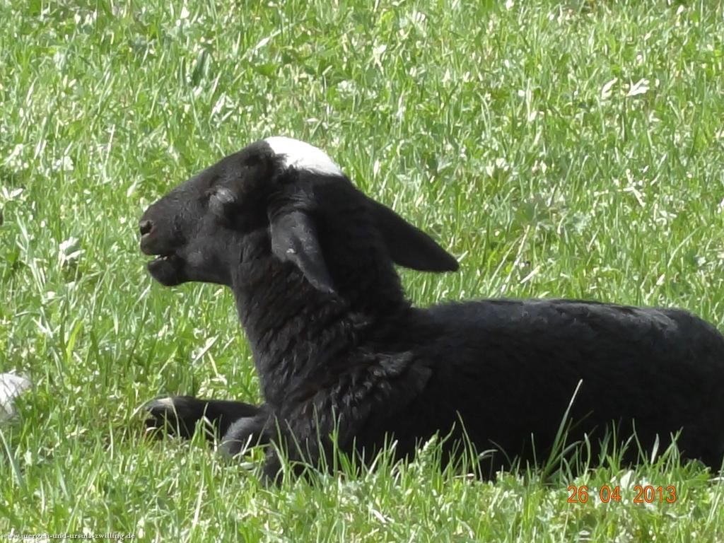 Philosophische Bildwanderung Traufgang Zollernburg-Panorama