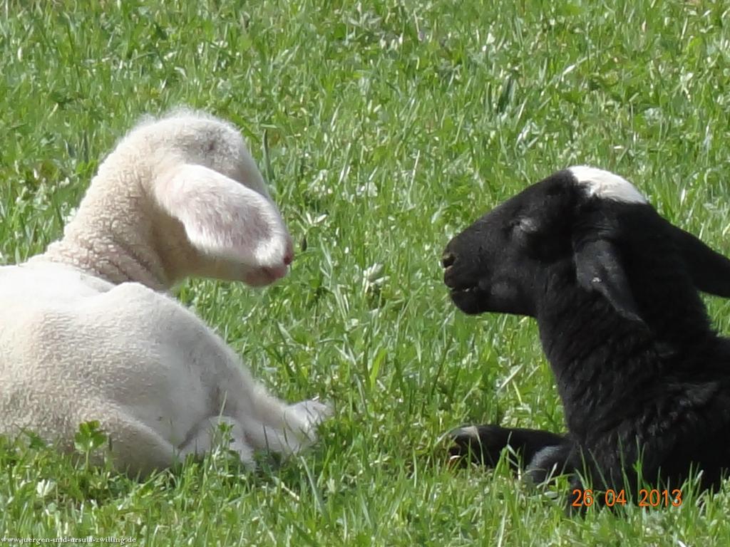 Philosophische Bildwanderung Traufgang Zollernburg-Panorama