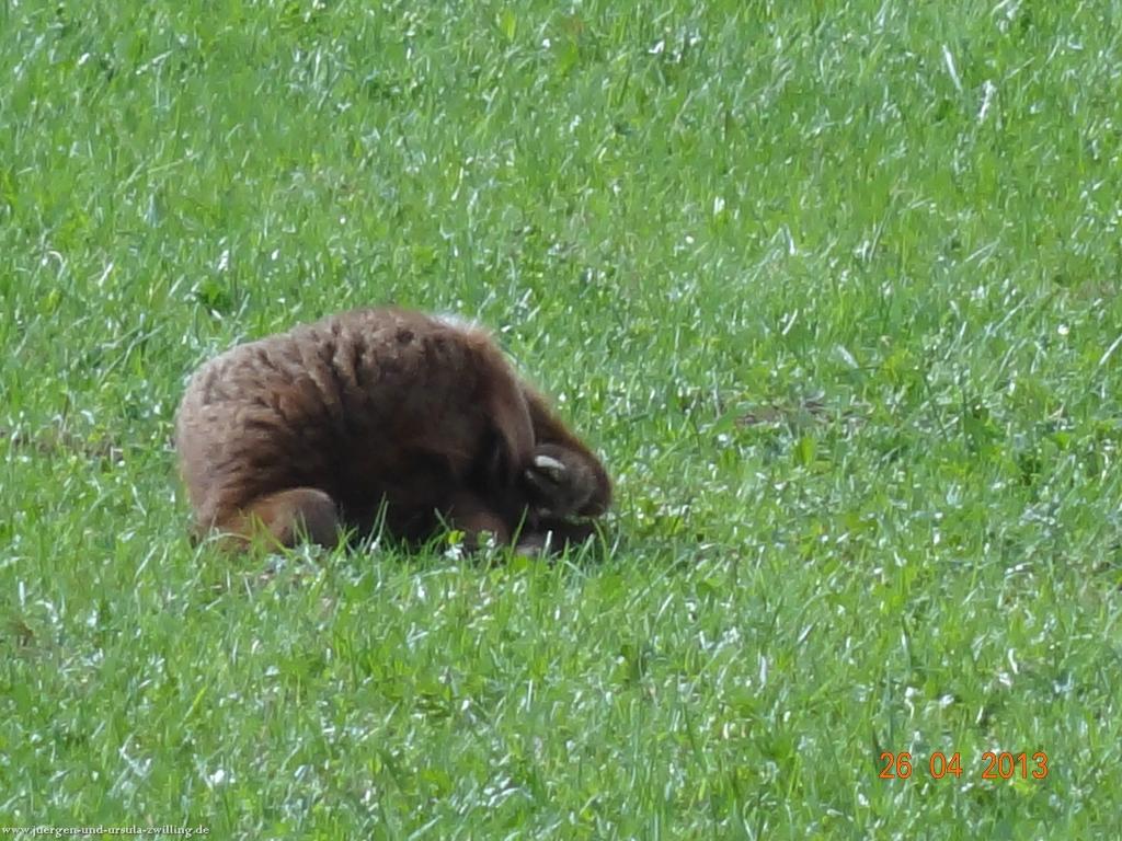 Philosophische Bildwanderung Traufgang Zollernburg-Panorama