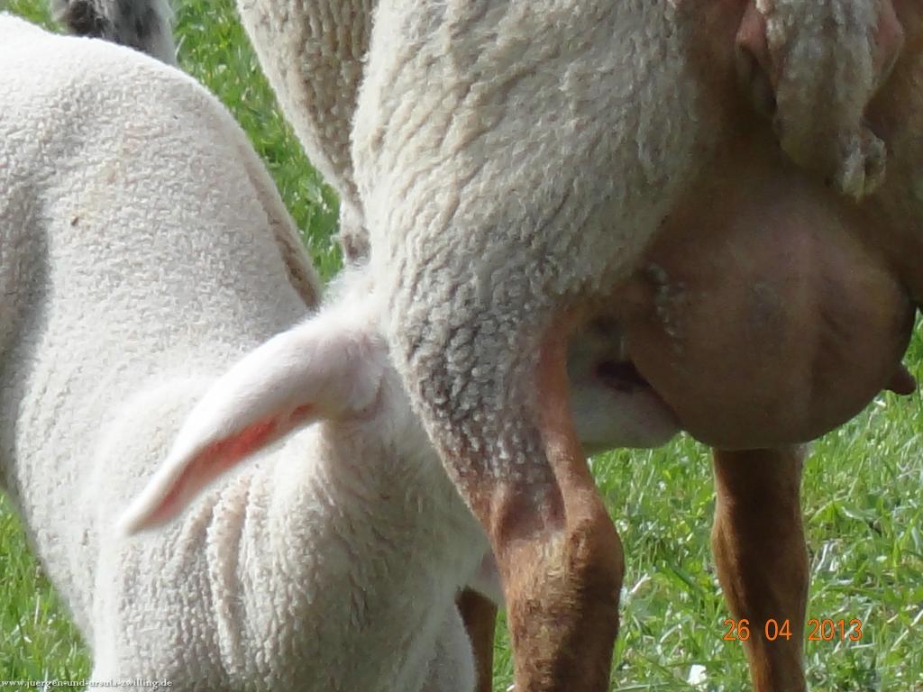 Philosophische Bildwanderung Traufgang Zollernburg-Panorama