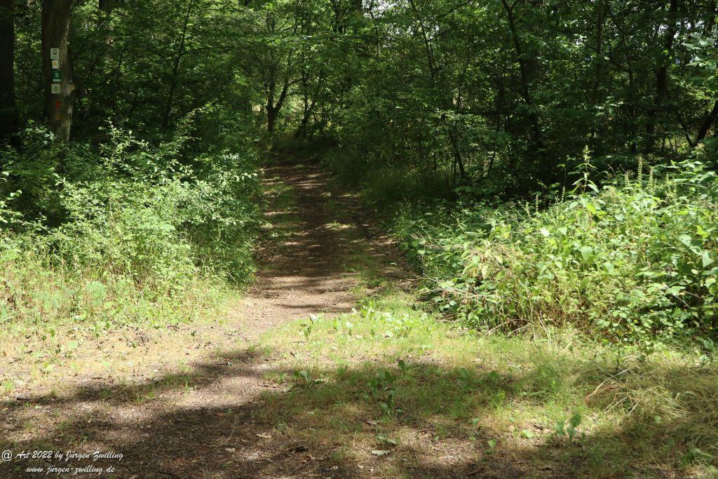 Philosophische Bildwanderung Sponheimer Entdeckerrunde - Naheland