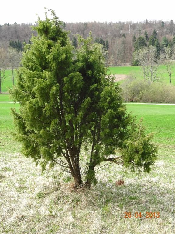 Philosophische Bildwanderung Traufgang Zollernburg-Panorama