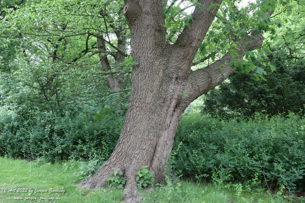 Wilhelmshaven - Nordsee - Jadebusens