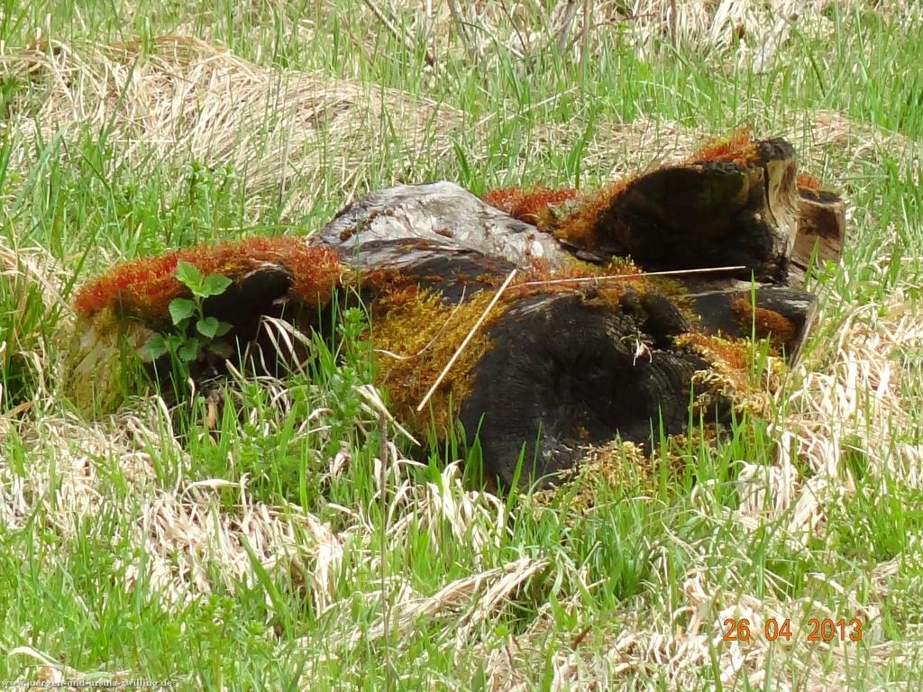 Philosophische Bildwanderung Traufgang Zollernburg-Panorama