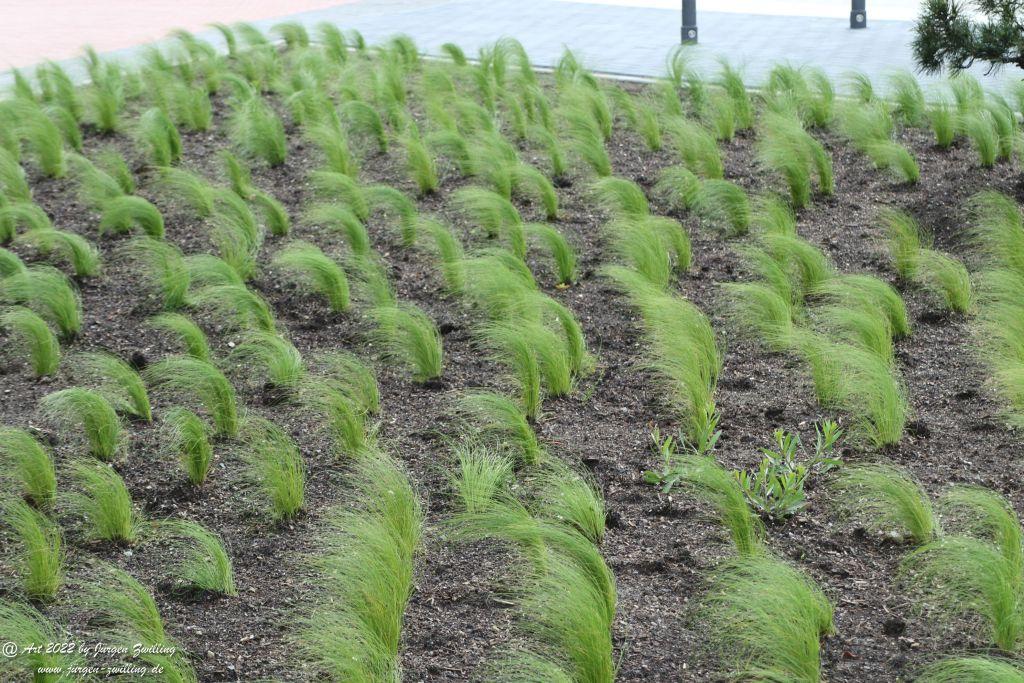 Wilhelmshaven - Nordsee - Jadebusens