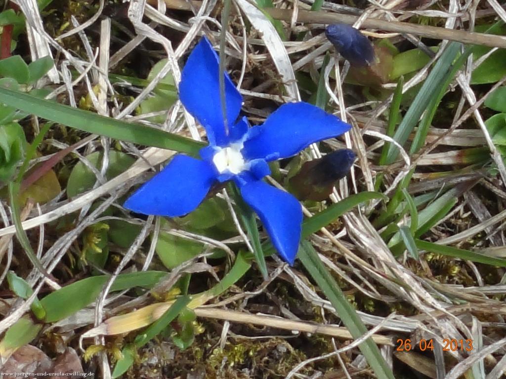 Philosophische Bildwanderung Traufgang Zollernburg-Panorama