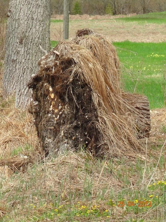 Philosophische Bildwanderung Traufgang Zollernburg-Panorama