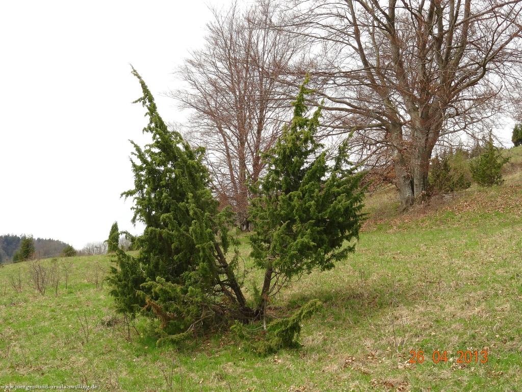 Philosophische Bildwanderung Traufgang Zollernburg-Panorama