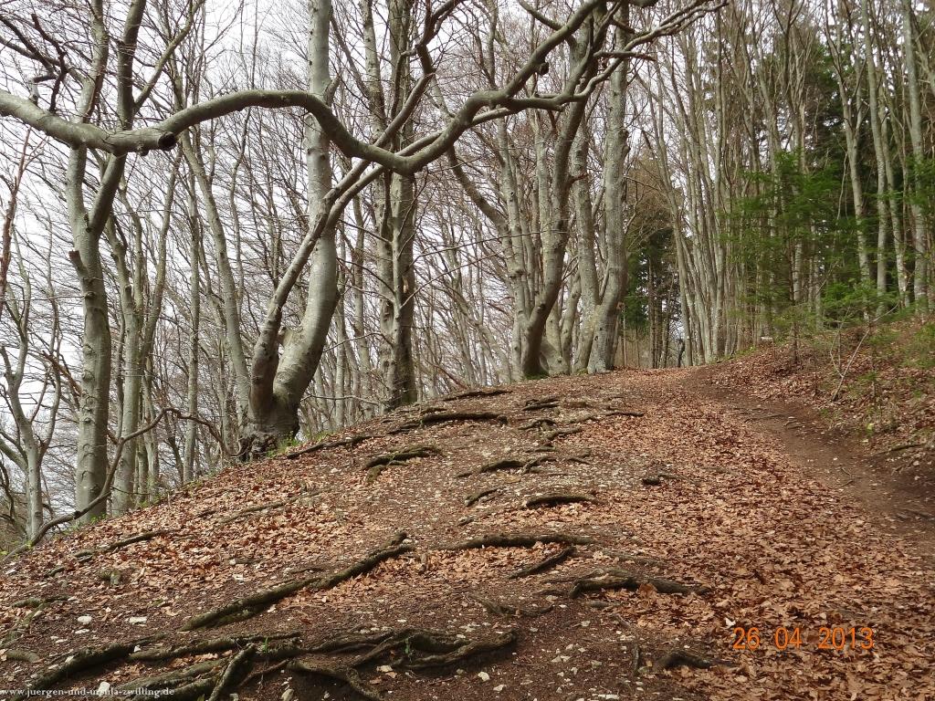 Philosophische Bildwanderung Traufgang Zollernburg-Panorama