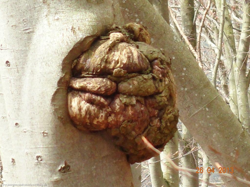 Philosophische Bildwanderung Traufgang Zollernburg-Panorama