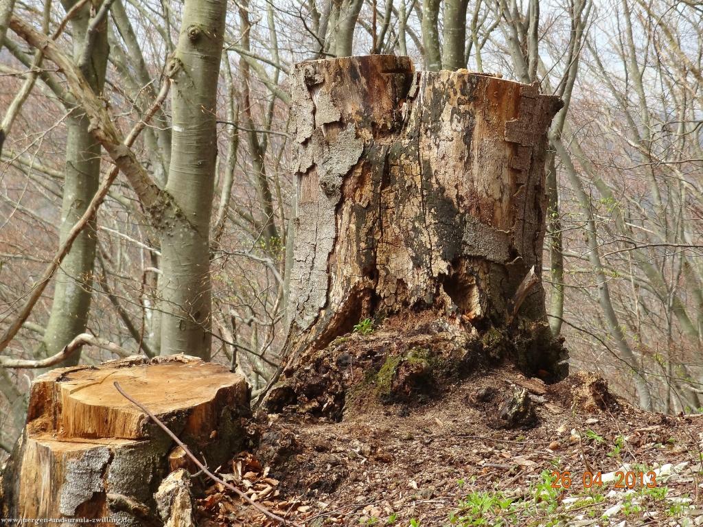 Philosophische Bildwanderung Traufgang Zollernburg-Panorama