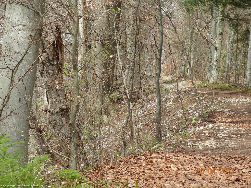 Philosophische Bildwanderung Traufgang Zollernburg-Panorama