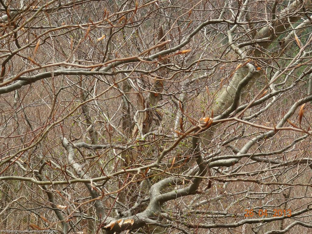 Philosophische Bildwanderung Traufgang Zollernburg-Panorama