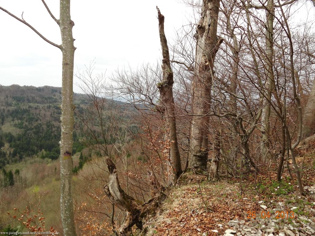 Philosophische Bildwanderung Traufgang Zollernburg-Panorama