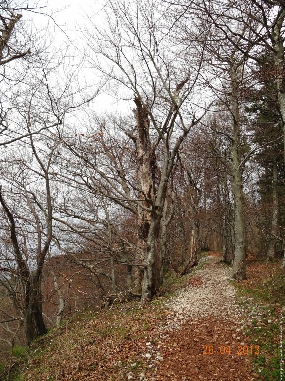Philosophische Bildwanderung Traufgang Zollernburg-Panorama