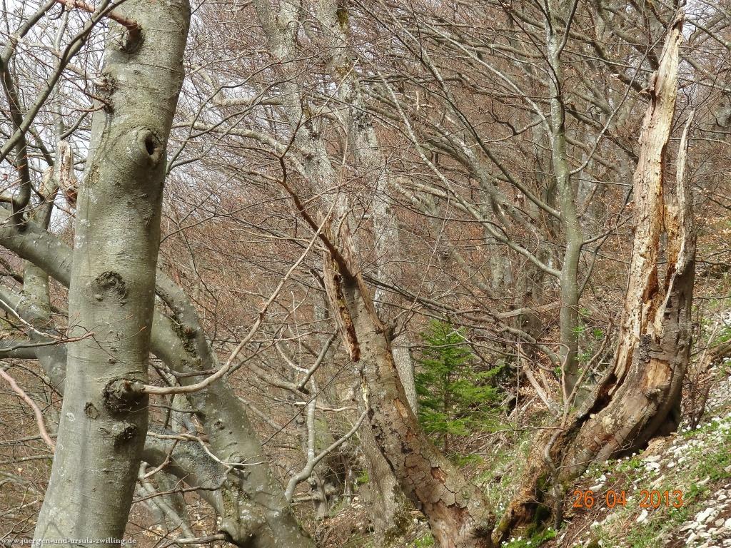 Philosophische Bildwanderung Traufgang Zollernburg-Panorama