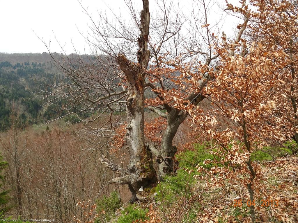 Philosophische Bildwanderung Traufgang Zollernburg-Panorama