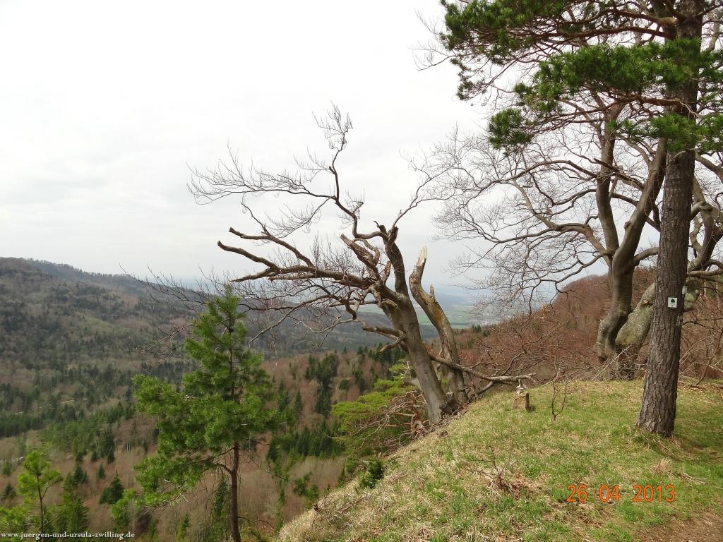 Philosophische Bildwanderung Traufgang  Zollernburg-Panorama