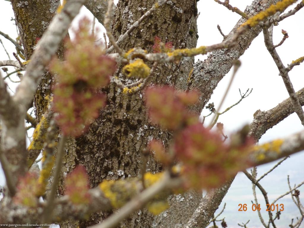 Philosophische Bildwanderung Traufgang Zollernburg-Panorama