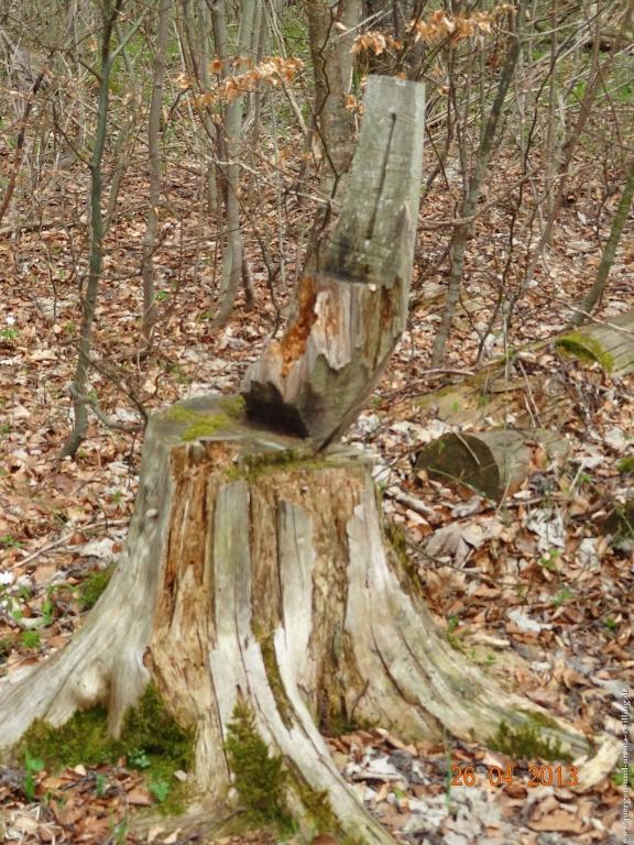 Philosophische Bildwanderung Traufgang Zollernburg-Panorama