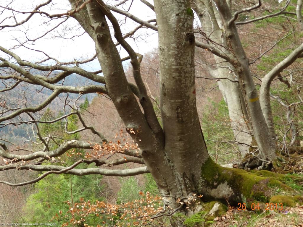 Philosophische Bildwanderung Traufgang Zollernburg-Panorama