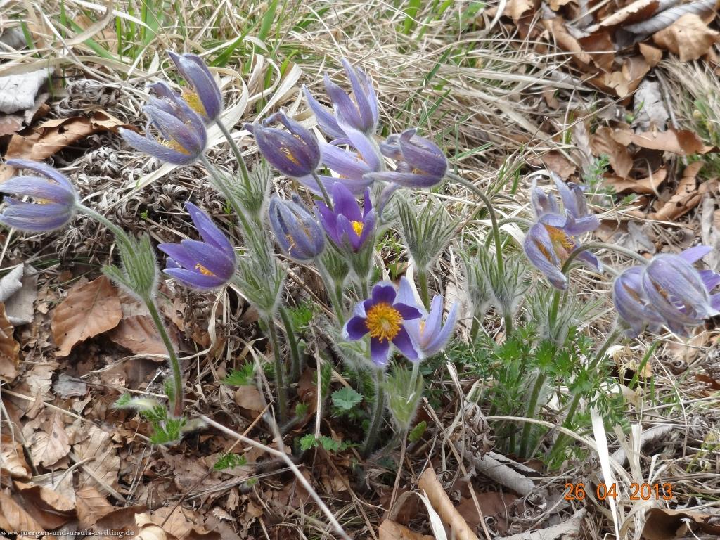 Philosophische Bildwanderung Traufgang Zollernburg-Panorama