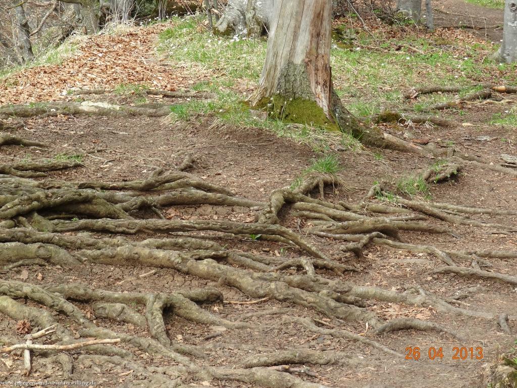 Philosophische Bildwanderung Traufgang Zollernburg-Panorama