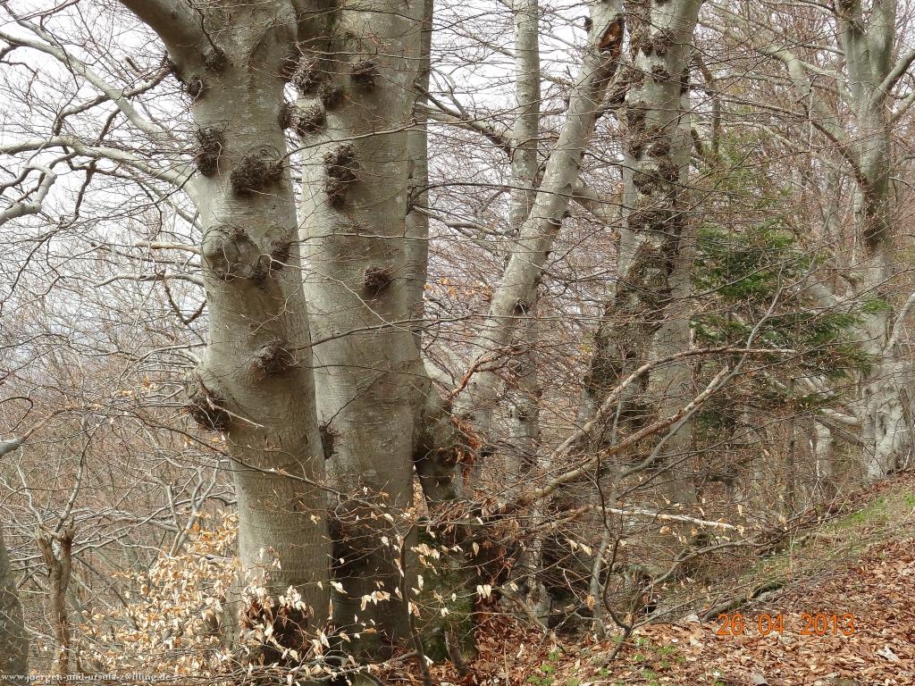 Philosophische Bildwanderung Traufgang Zollernburg-Panorama