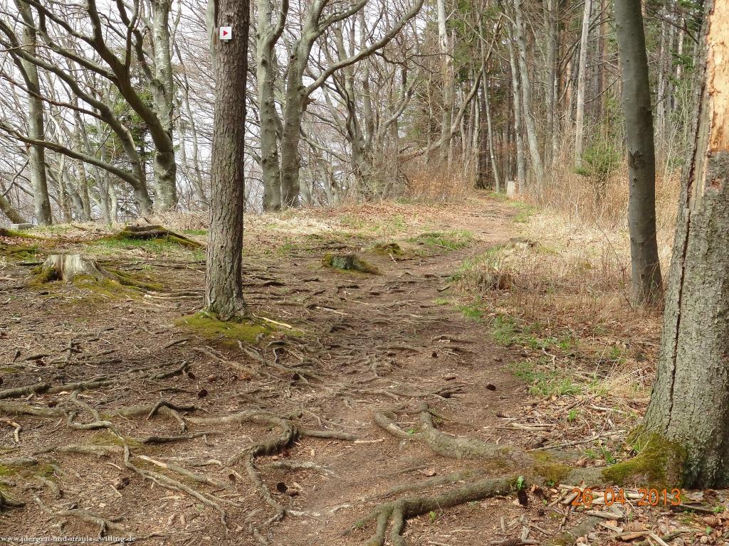 Philosophische Bildwanderung Traufgang Zollernburg-Panorama
