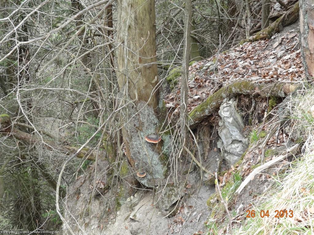 Philosophische Bildwanderung Traufgang Zollernburg-Panorama
