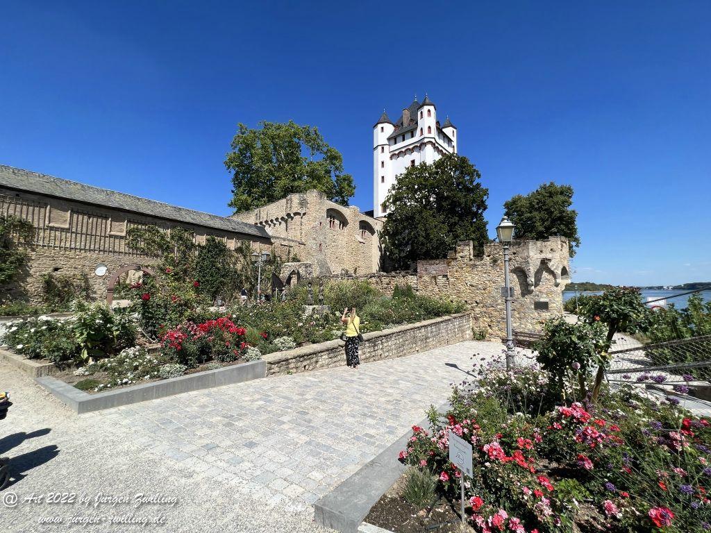 Historisches Eltville am Rhein - Rheingau - Hessen