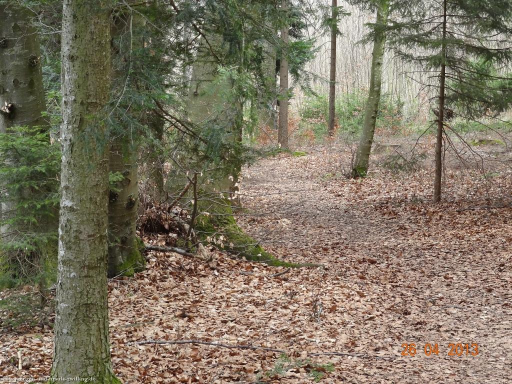 Philosophische Bildwanderung Traufgang Zollernburg-Panorama