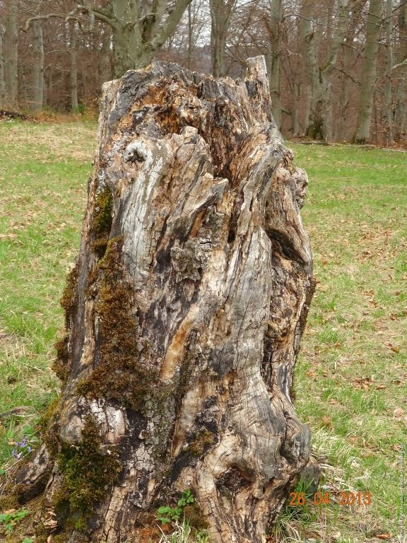 Philosophische Bildwanderung Traufgang Zollernburg-Panorama
